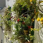 Marais Picasso - Appartement De 40 M2