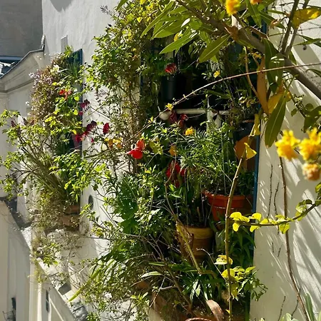 Marais Picasso - De 40 M2 * Paris